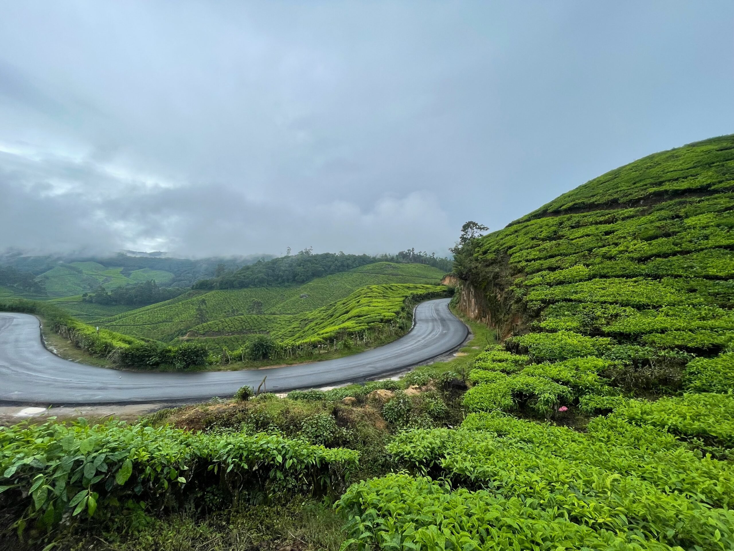 Insights 161 The Ultimate Road Trip Guide to Mangalore: Routes, Stops, and Travel Tips
